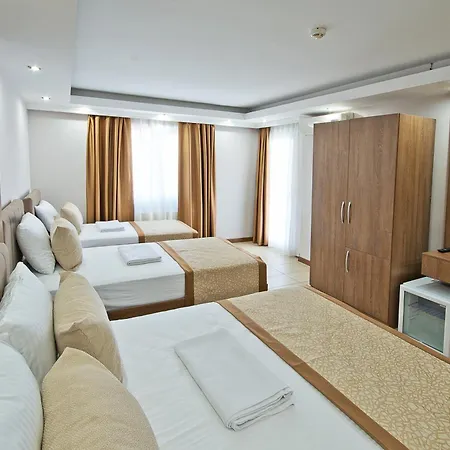 Hotel Lion *
