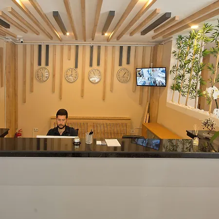 Lion * 뷰유크체크메스