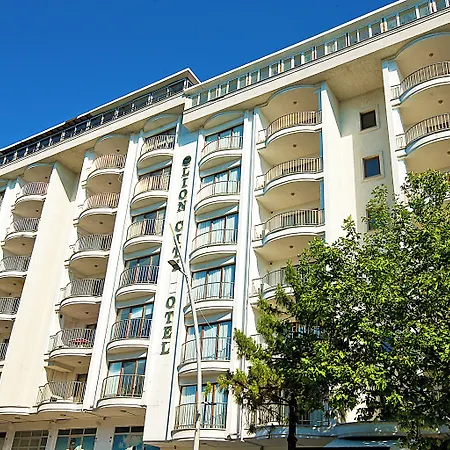 Lion * 뷰유크체크메스