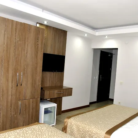 호텔 Lion 뷰유크체크메스