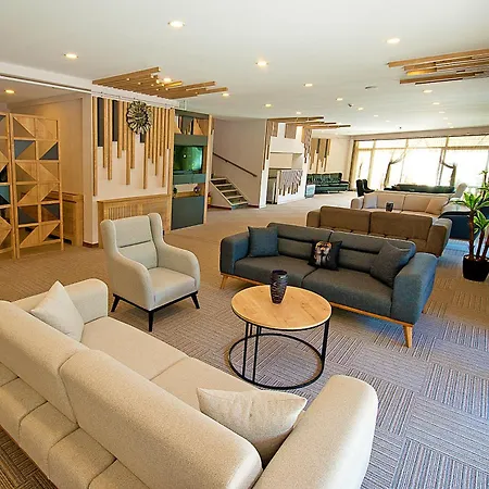 Lion Hotel *