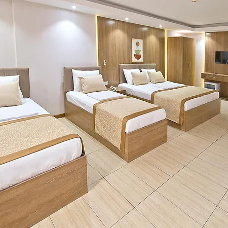 Hotel Lion