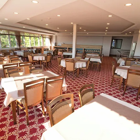 Lion Hotel
